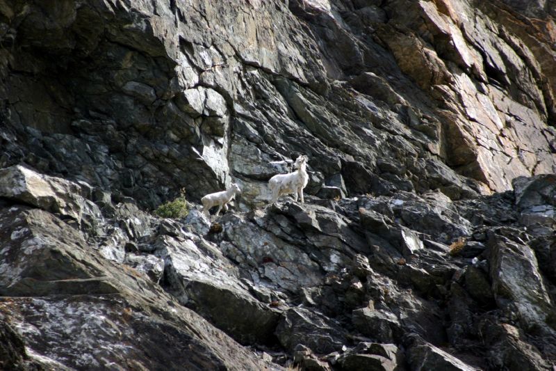 070404 Hope Hatcher Montana Creek (10052)
